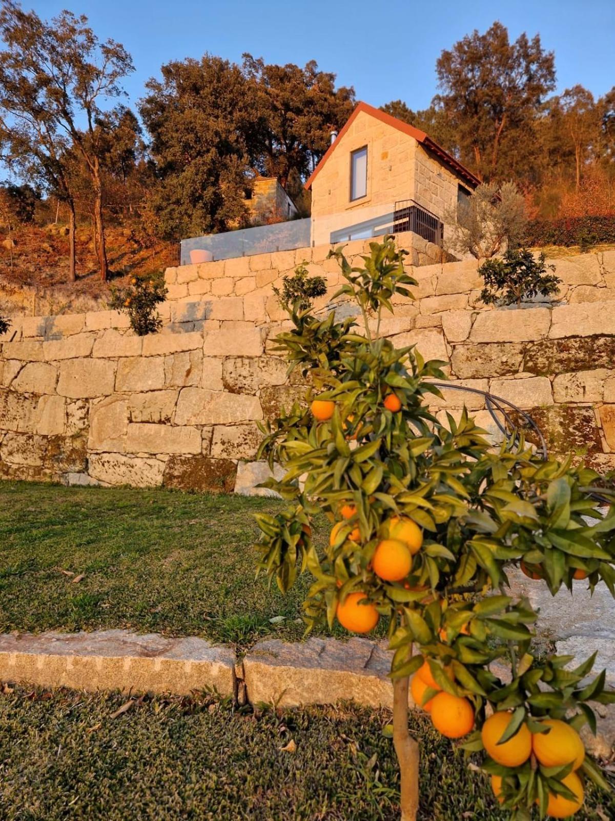 Javardo - Family House - Douro Penha Longa Exterior foto